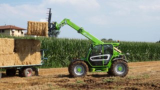 Merlo Medium Merlo Medium